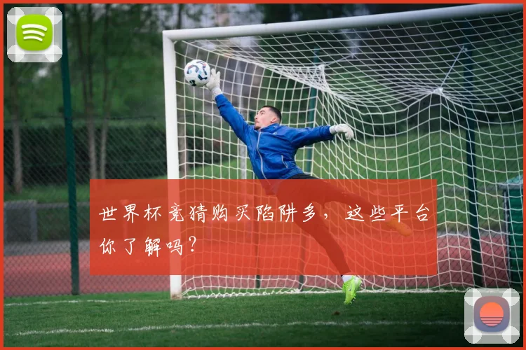 世界杯竞猜购买陷阱多,这些平台你了解吗?