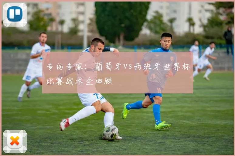 专访专家:葡萄牙vs西班牙世界杯比赛战术全回顾