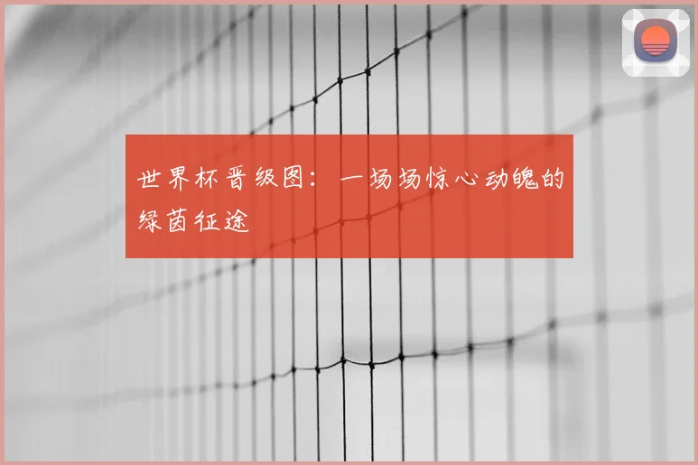 世界杯晋级图：一场场惊心动魄的绿茵征途