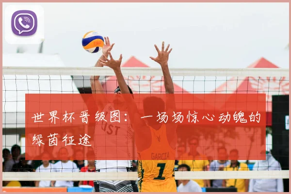 世界杯晋级图：一场场惊心动魄的绿茵征途