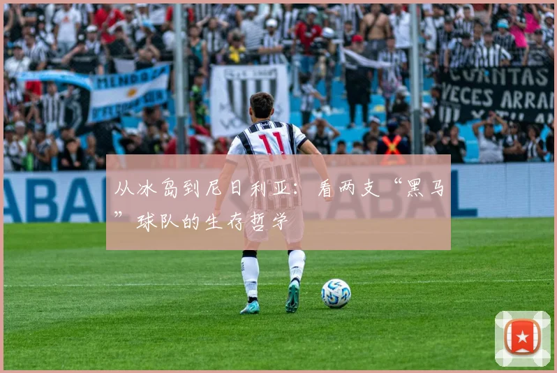 从冰岛到尼日利亚:看两支“黑马”球队的生存哲学